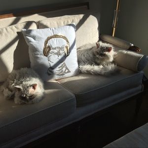 Meet your Posher, Maria